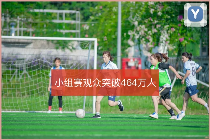 小组赛观众突破464万人