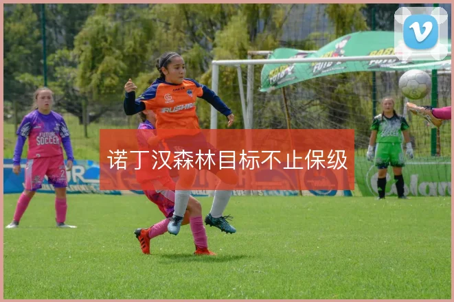 诺丁汉森林目标不止保级