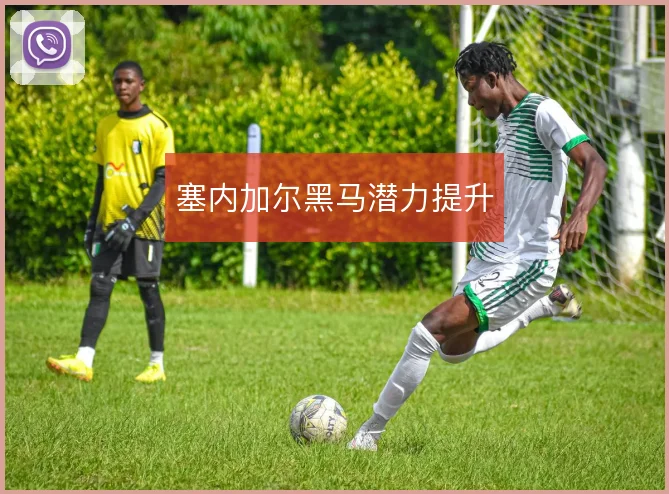 塞内加尔黑马潜力提升